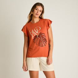 Color – Terracota
