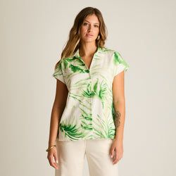 Color – Verde