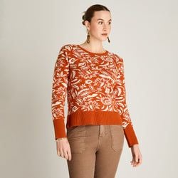 Color – Terracota