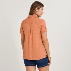 Color – Terracota