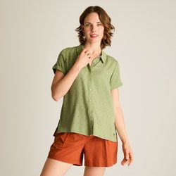 Color – Oliva
