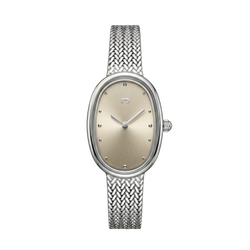 Model – Silver