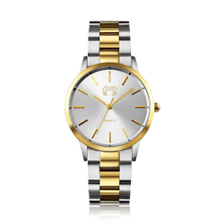Model – GoldSilver