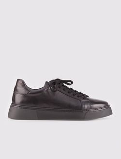 Color – Black