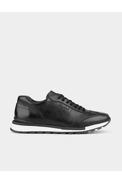 Color – Black