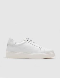 Color – White