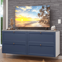 Color – Blanco/Azul