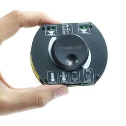 More-TPA3118 – Gold-A502