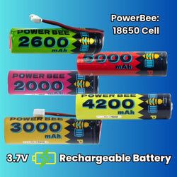 Model – PowerBee