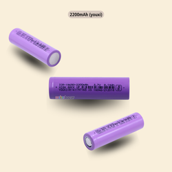Model – Youxi