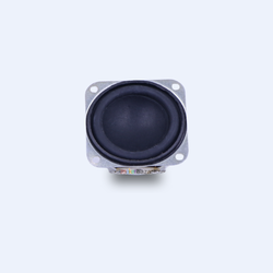 More Internal Magnets Speakers – 40mm-WithFrame
