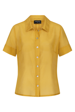 Farbe – Senfgelb