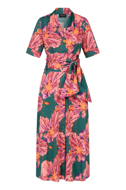 Farbe – Orchidee