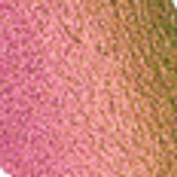 Shade – Nebula Rush