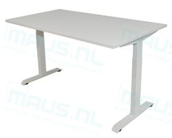 Kleur blad – Wit