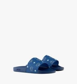 Blue Visetos|BLUE VISETOS
