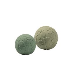 modelo – folhas verde