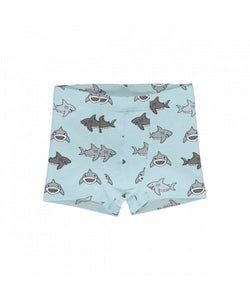 Padrão – shark
