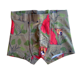 Padrão – bear