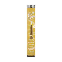 Golden Fellow (Hybrid)