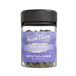 Willy Wonka (Hybrid)