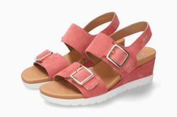 Color – Old Pink 12249