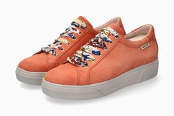 Terracota VLP12227