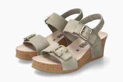 Light Khaki 62892