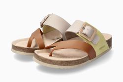 Camel 6034