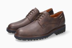 Dark Brown 1551
