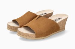 Tobacco 62844