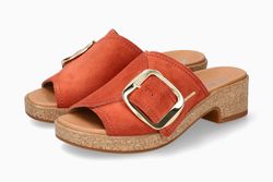 Color – Chili 3624N