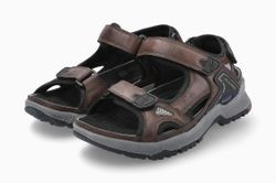 Color – Dark Brown 46