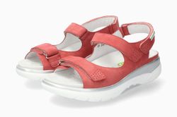 Old Pink 12249
