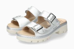Color – Silver 9568