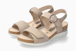 Warm Grey 12260