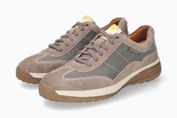 Warm Grey 3660