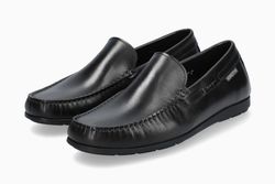 Black 384
