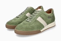 Color – Olive OL360P/1234