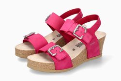 Fuchsia SB6040N