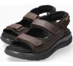 Color – Dark Brown 151