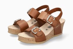 Color – Camel 3431