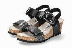 Grey Havana GREY37503/00