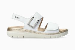 Color – White 7830