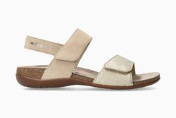 Color – BEIGE1221B/C