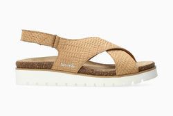 Brandy 62511