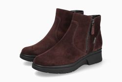 Plum 3657
