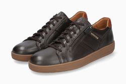Brown 1351/6135