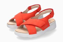 Color – Cranberry 6962