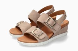 Light Taupe 12218